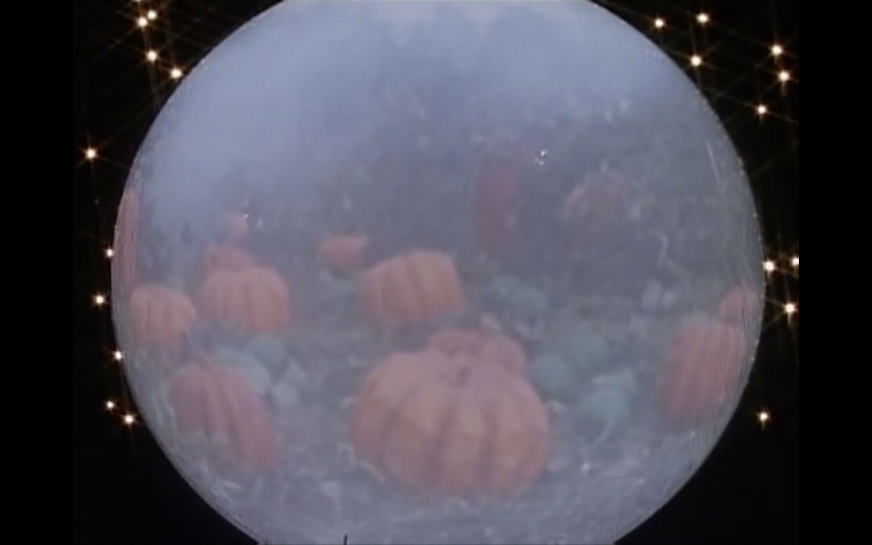 pumpkin hill