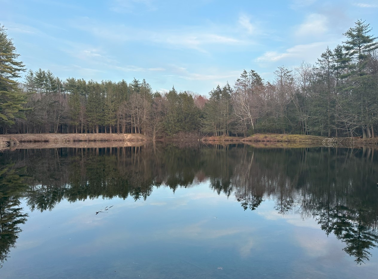 beautiful reservoir